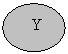 ����: Y