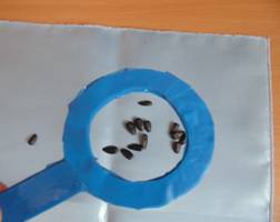 H:\���� ���� ���������\DSC00605.JPG