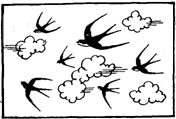 C:\Users\�������������\Desktop\img7.gif