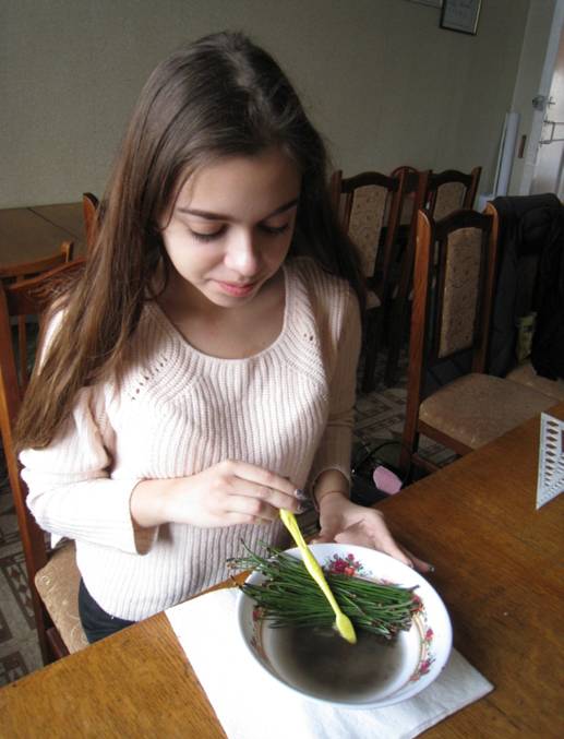 ��������: IMG_0935.JPG