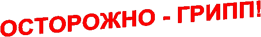 ОСТОРОЖНО - ГРИПП!