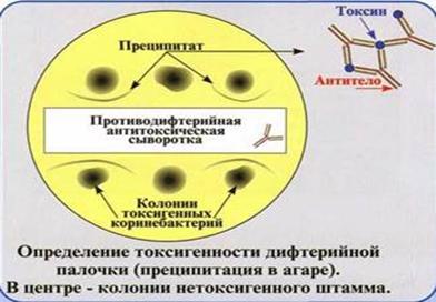 Реакция