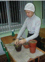G:\DCIM\101MSDCF\DSC03030.JPG