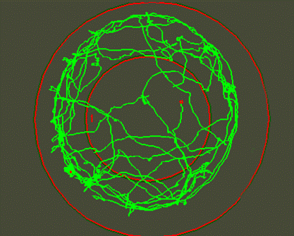 16.bmp