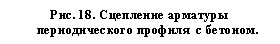 �������: