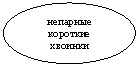 ����: �������� �������� �������