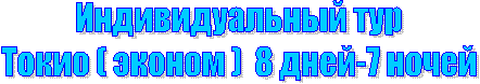 Индивидуальный тур
Токио ( эконом ) 8 дней-7 ночей