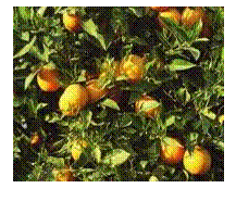 Подпись: