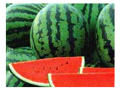 Подпись: