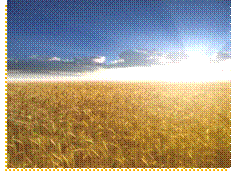 C:\2010