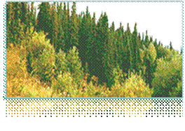 C:\2010