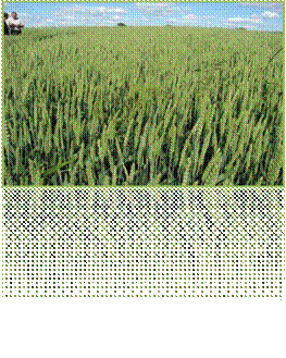 C:\2010 ���\����\����-��\��������� ����.jpg