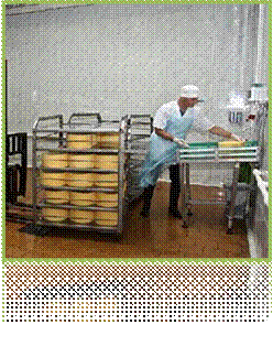 C:\2010 СФО\ФОТО\пр-во пром реал\сыр.jpg