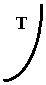 ����: T