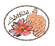 ��������: C:\Documents and Settings\USER\������� ����\logo3.png