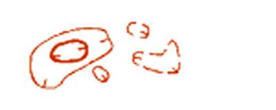 C:\Users\�����\Documents\��������-�������\0175.png