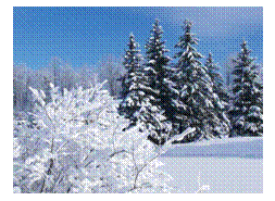 �������: 