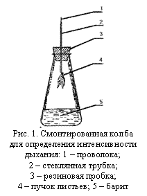 �������: