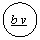 ����: b v