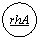 ����: rhA