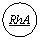 ����: RhA