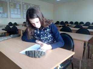 IMG_20161206_152150