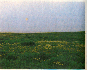 img2.gif (63848 bytes)