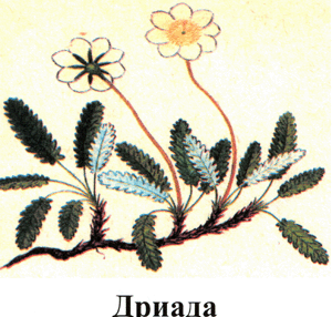 http://festival.1september.ru/articles/412625/img6.gif