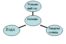 Радиальная диаграмма