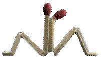 C:\Users\������������\Pictures\2014-01-05\4234548.jpg
