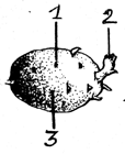 C:\Documents