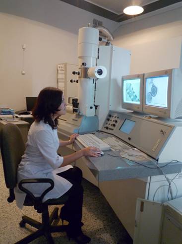 Transmission Electron Microscope LEO 906E