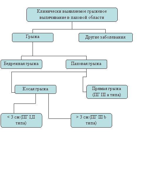 Организационная диаграмма