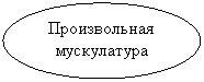 ����: ������������ �����������