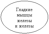 ����: ������� ����� 

������

� ������

