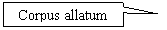 ������������� �������: Corpus allatum