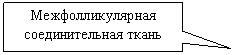 ������������� �������: ���������������� ��-������������ �����