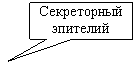 ������������� �������: ����������� ��������