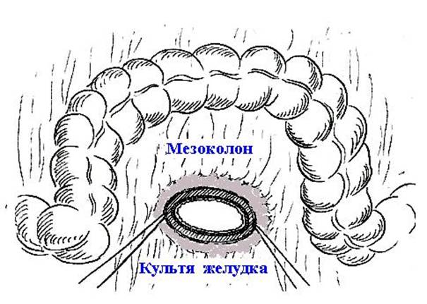 C:\Documents and Settings\Admin\Рабочий стол\2.JPG