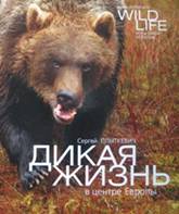 http://www.belkniga.by/knigoboz/wild%20life.jpg