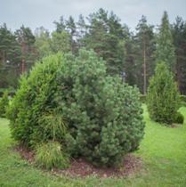 C:\Users\Vl\Desktop\13112016_�����������\����� MOPS 18.07.2016-3.jpg