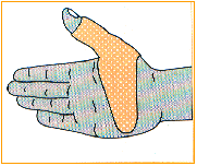 C:\webserver\ortho-titan.com\www\catalog\turbo\Images\index-16.gif