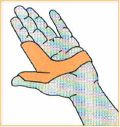 C:\webserver\ortho-titan.com\www\catalog\turbo\Images\index-20.jpg