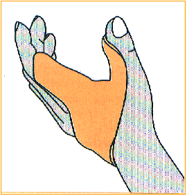 C:\webserver\ortho-titan.com\www\catalog\turbo\Images\index-21.gif
