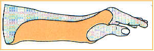 C:\webserver\ortho-titan.com\www\catalog\turbo\Images\index-24.gif