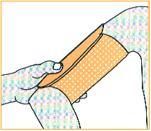 C:\webserver\ortho-titan.com\www\catalog\turbo\Images\index-30.gif