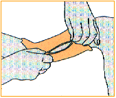 C:\webserver\ortho-titan.com\www\catalog\turbo\Images\index-32.gif