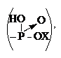 �������: ,