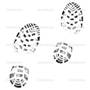 ��������: http://static3.depositphotos.com/1003480/169/v/950/depositphotos_1698940-boot-print-vector-on-white-background.jpg