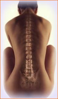 D:\Spinal Rehabilitation.files\spinal_150.jpg